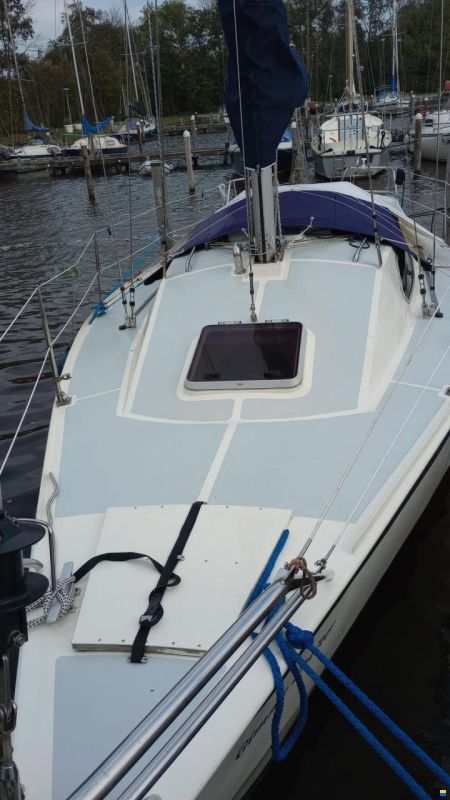 Van de Stadt Vita 30