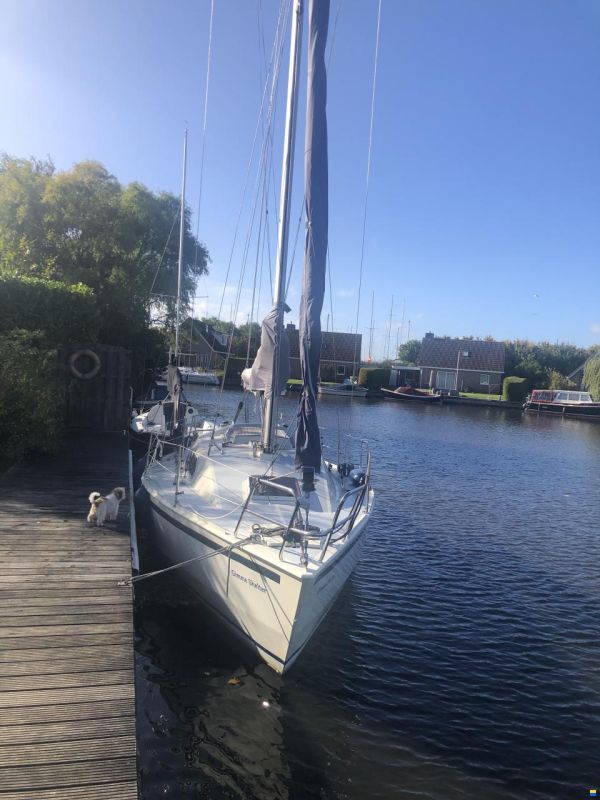 Van de Stadt Vita 30