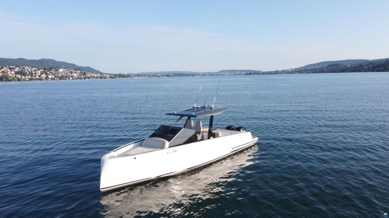 Virtue V10