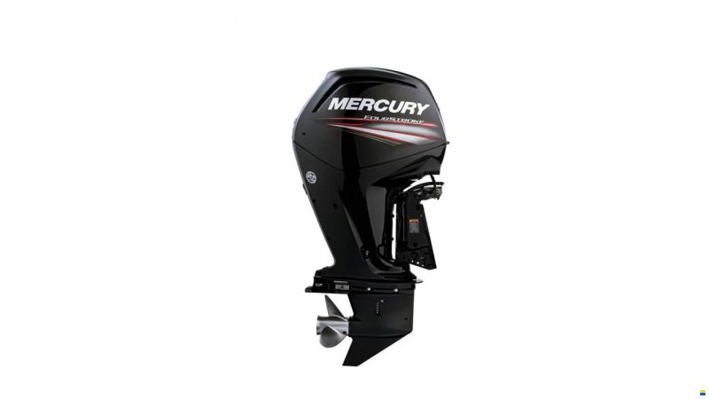 Mercury 100 hk ELPT