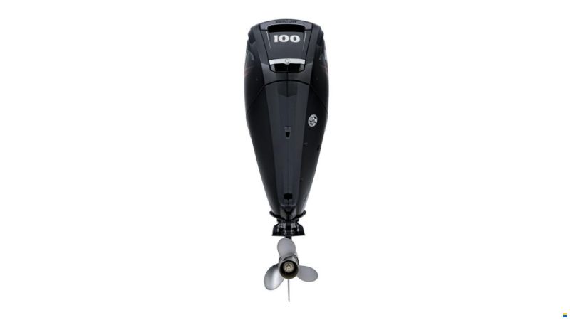 Mercury 100 hk ELPT