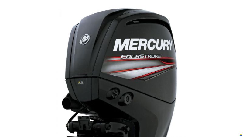 Mercury 100 hk ELPT