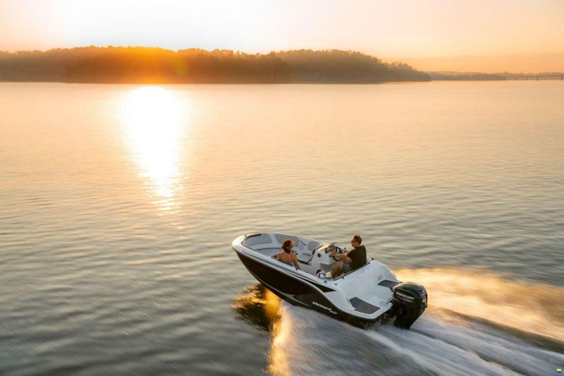 Bayliner M15