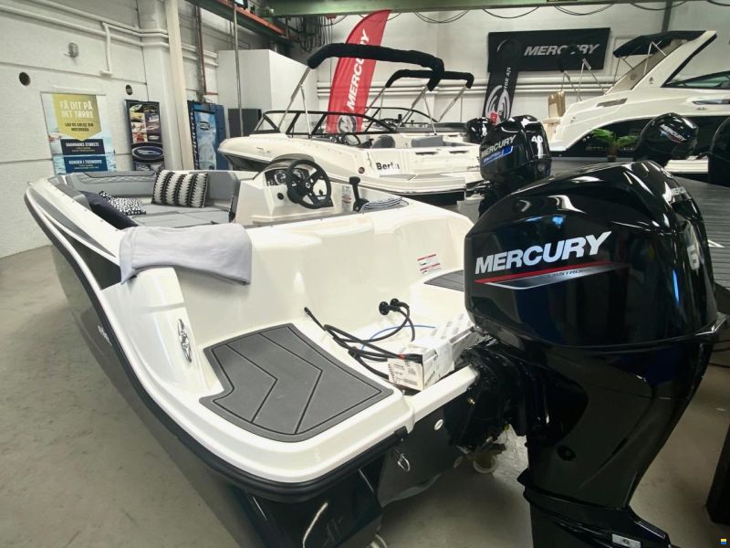 Bayliner M15