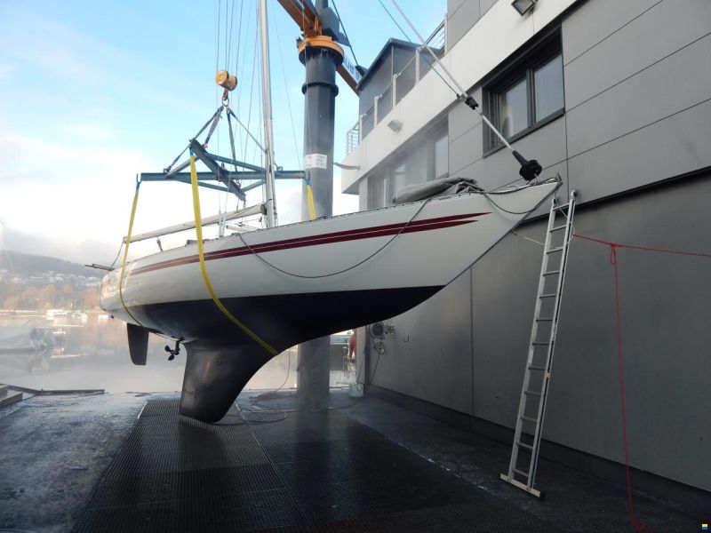 Helmsmann Carrera 38