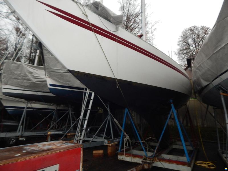 Helmsmann Carrera 38