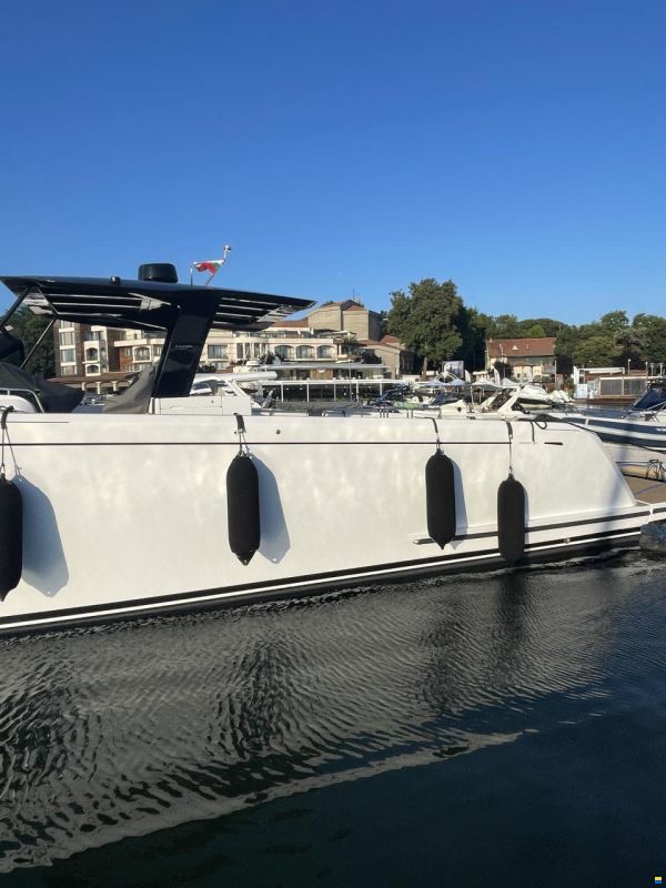 Pardo P50