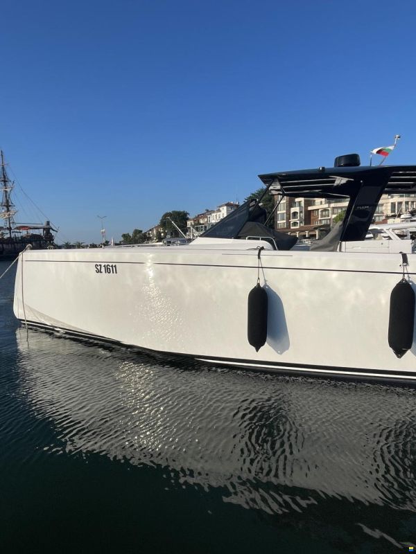 Pardo P50