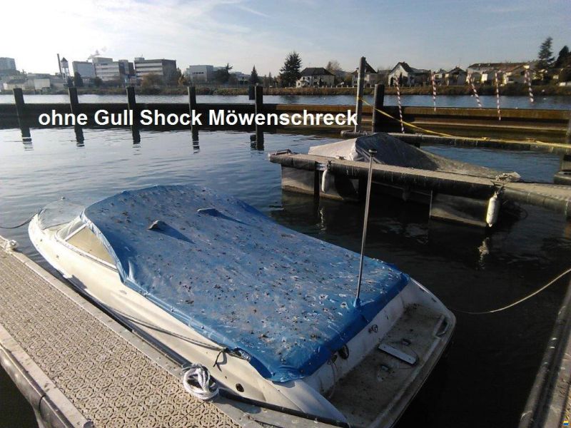 Möwenschreck Gull Shock