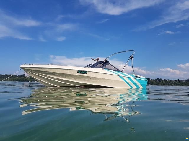 Cigala & Bertinetti surfer V600