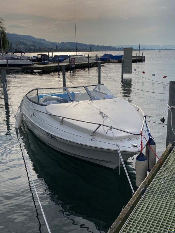 Campion Allante 625