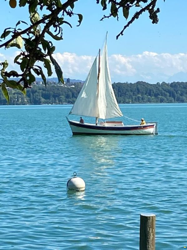 Pointu de méditéranée image