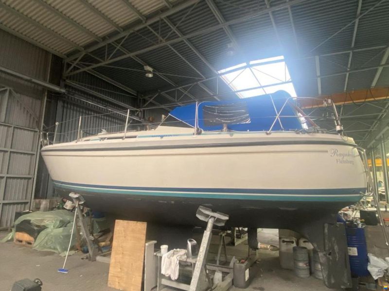 LM Mermaid 315