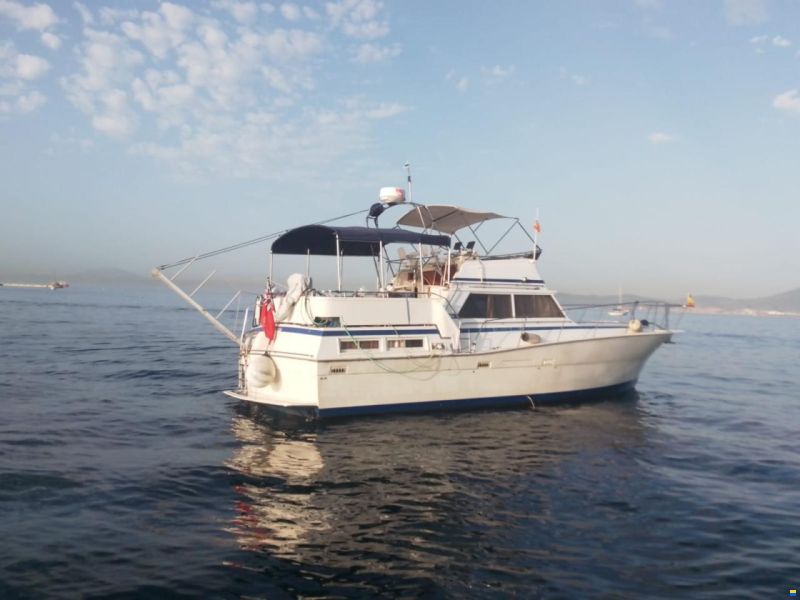 43ft double cabin