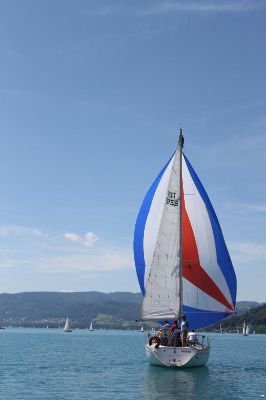 Elan 31/33