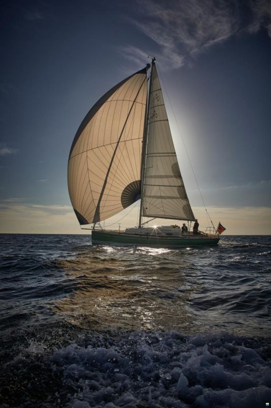 Tide 36