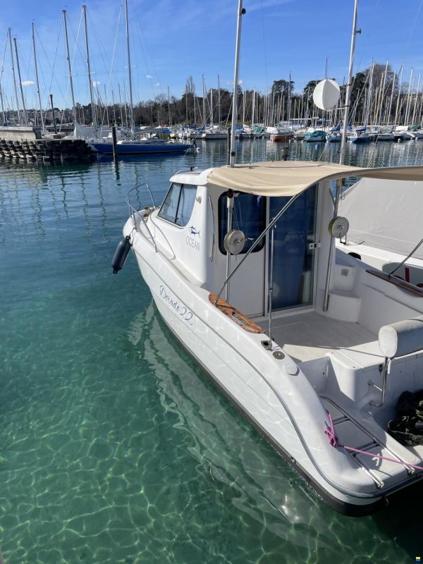 Sessa Dorado 22