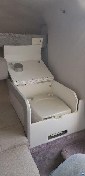 Formula 252 LS