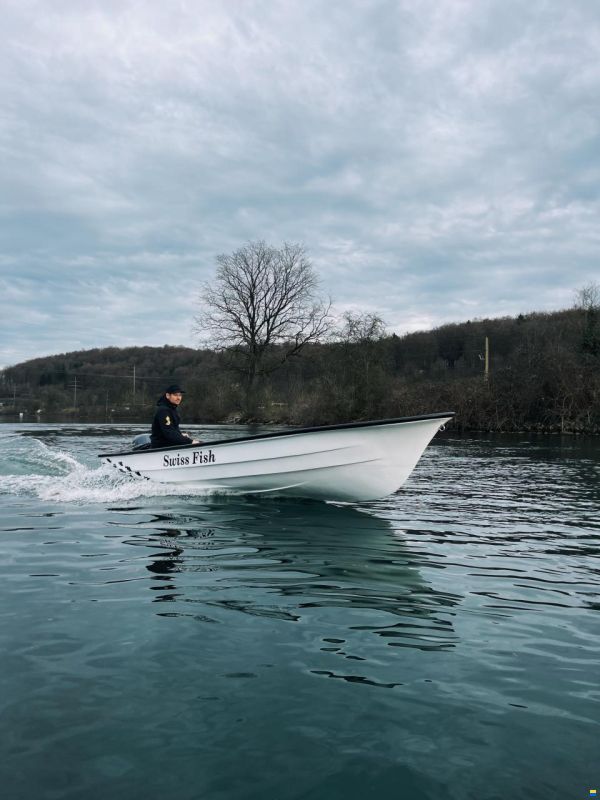 Swiss Cat Swiss Fish