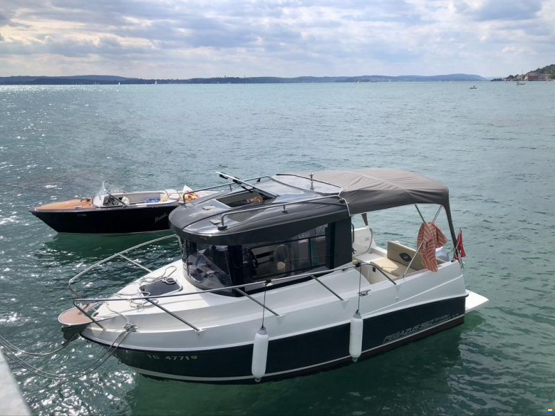 Pegazus 560 Top Fisher