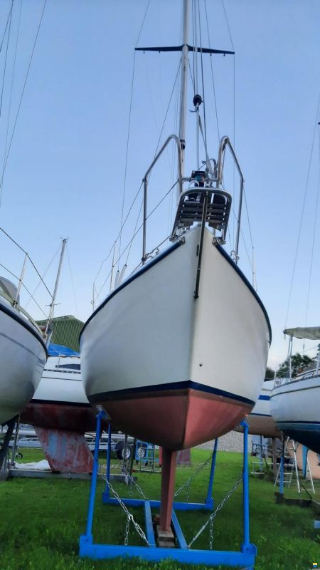 Maxi 84