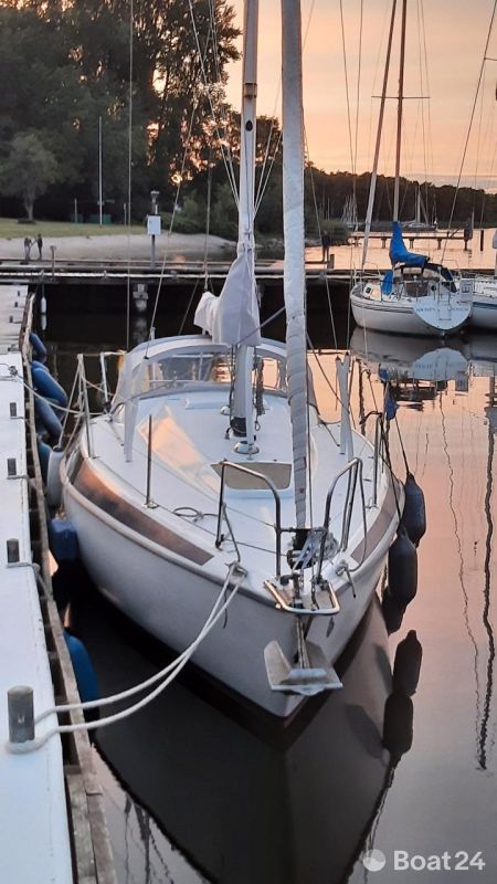 Maxi 84
