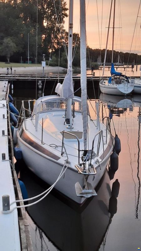 Maxi 84