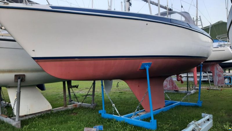 Maxi 84