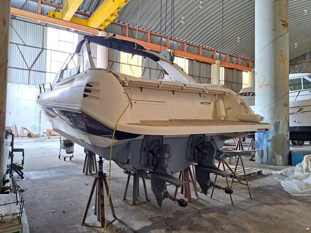 Real Hawk 32