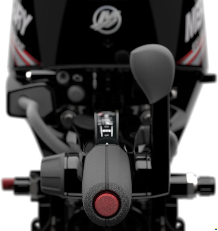 Mercury F20 20PS Motor Aussenborder