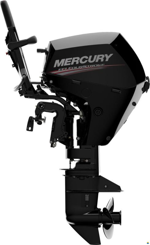 Mercury F15 15PS Motor Aussenborder