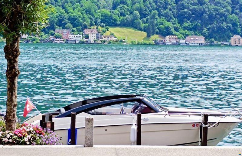 Parker 630 Day Cruiser mit Mercury 100PS