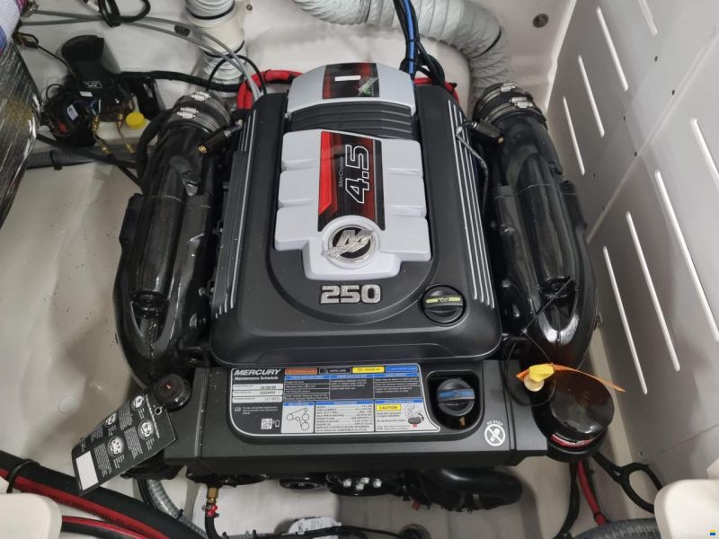 Bayliner VR5 Cuddy Europe