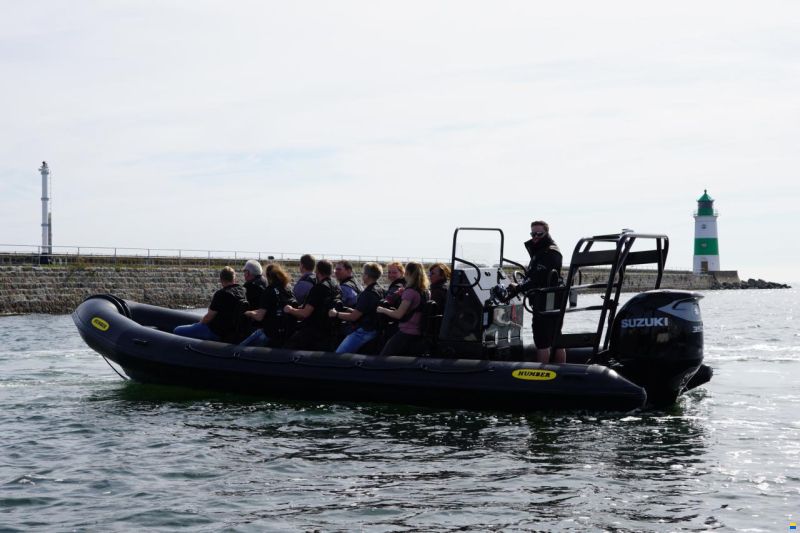 Ribcraft 7.8 Professional