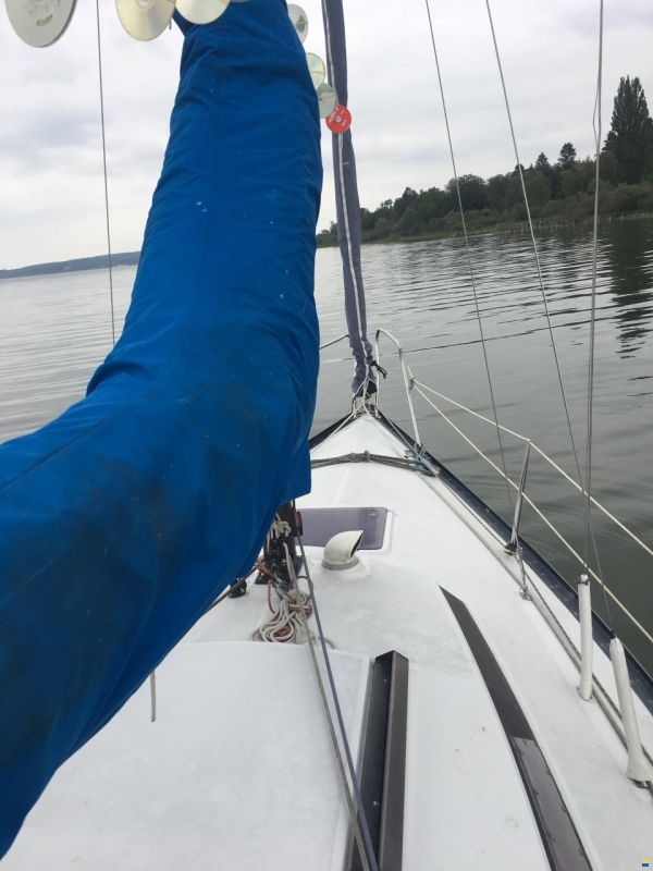 Comar Cometino 801