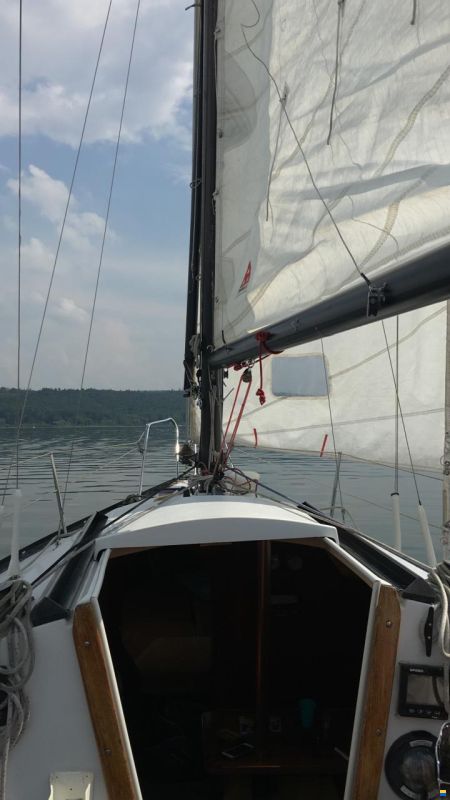 Comar Cometino 801