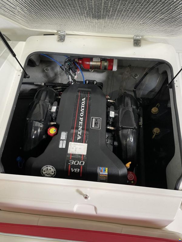 Campion Allante 645i Sport Cabin