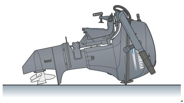 Yamaha F9.9JMHL
