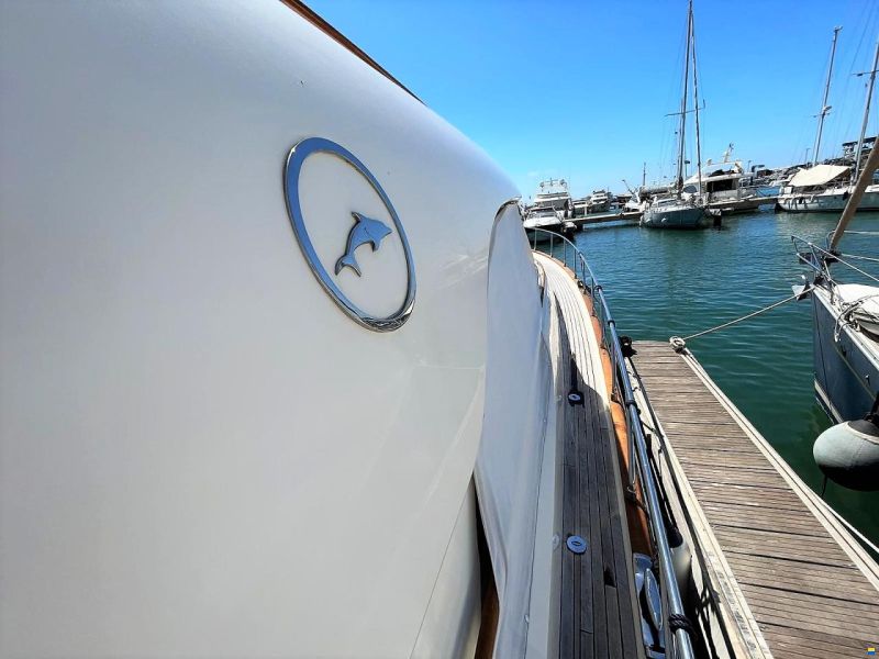 Mochi Craft Dolphin 54