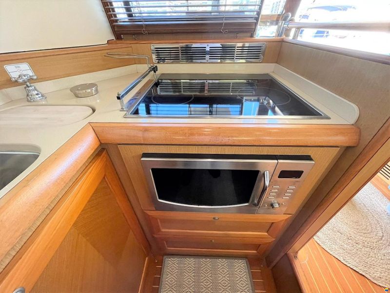 Mochi Craft Dolphin 54
