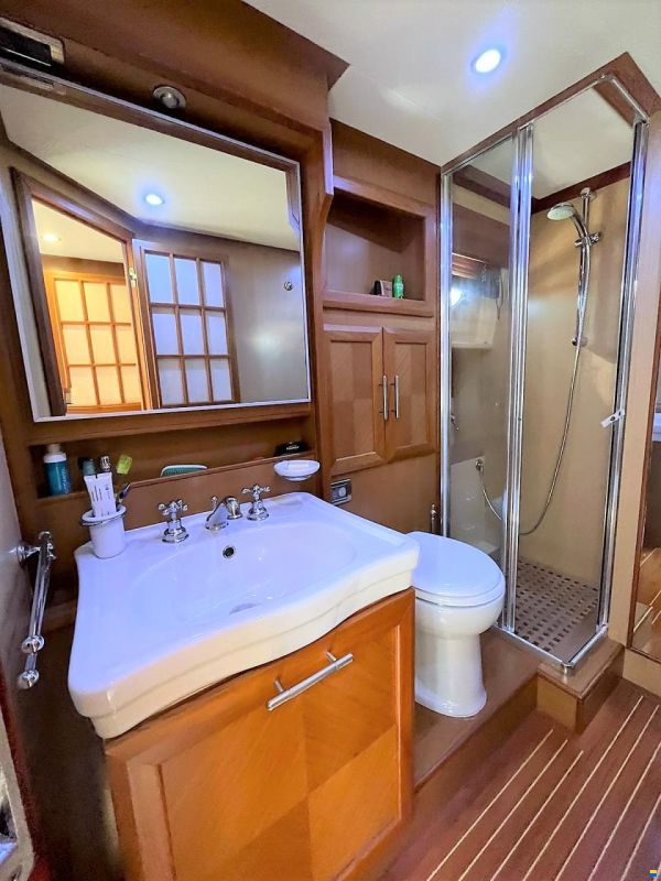 Mochi Craft Dolphin 54