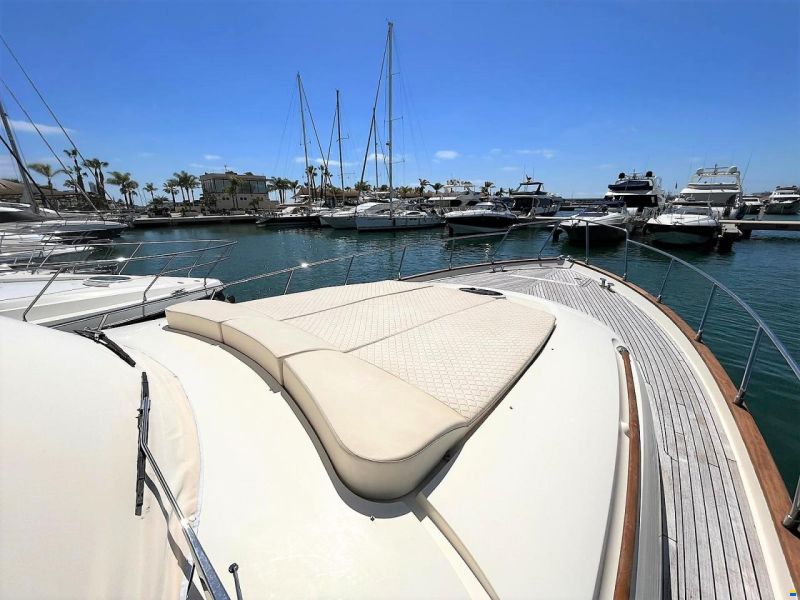 Mochi Craft Dolphin 54