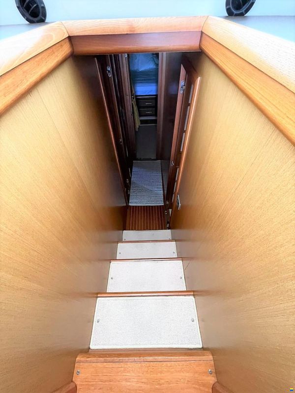 Mochi Craft Dolphin 54