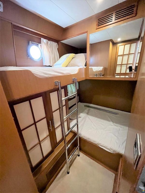 Mochi Craft Dolphin 54