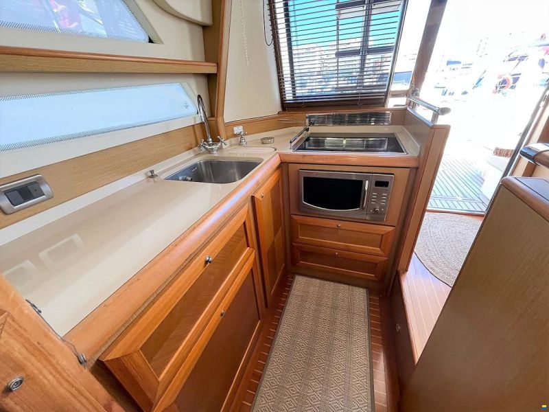 Mochi Craft Dolphin 54