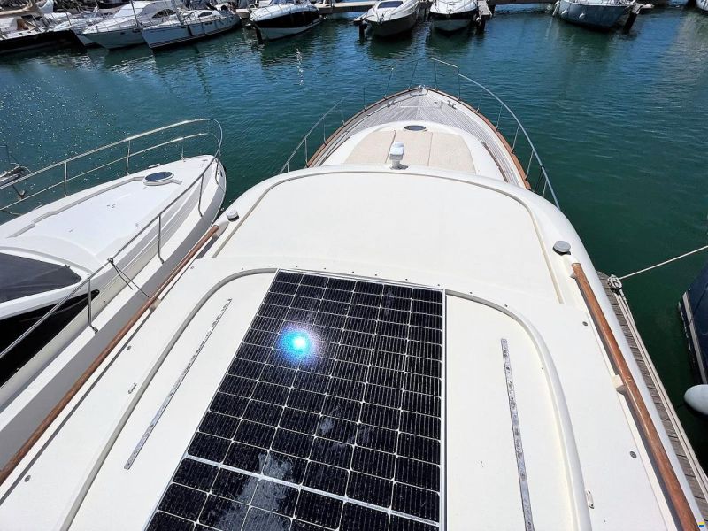 Mochi Craft Dolphin 54