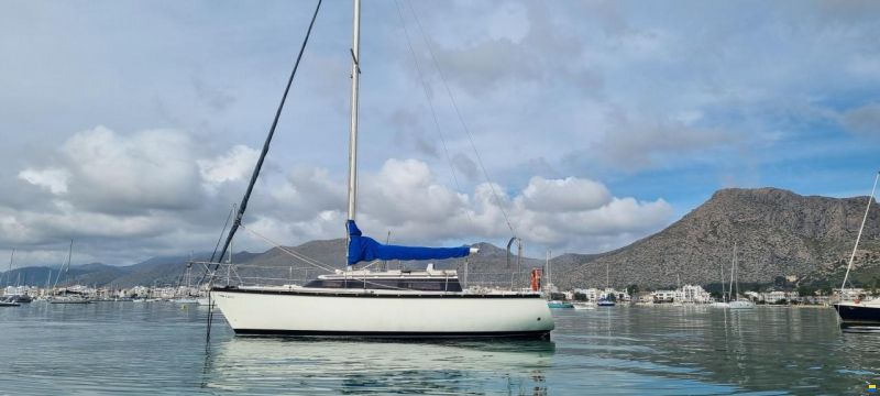 Dufour 29