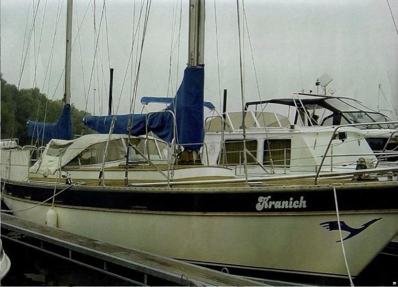 Trintella 38
