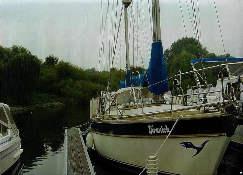Trintella 38
