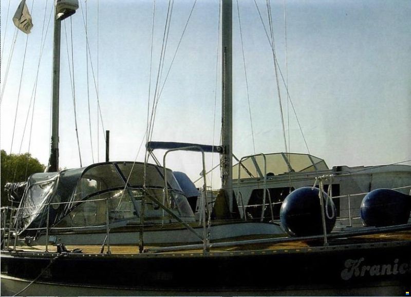 Trintella 38